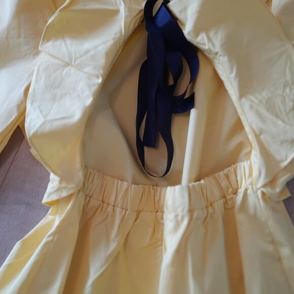 Zara Yellow Open Back Ruffle Dress - Picture 5 of 5